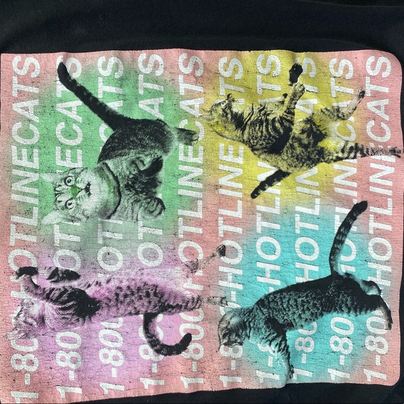 1-800-HOTLINECATS - Picture 6 of 6